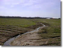 agricultural field